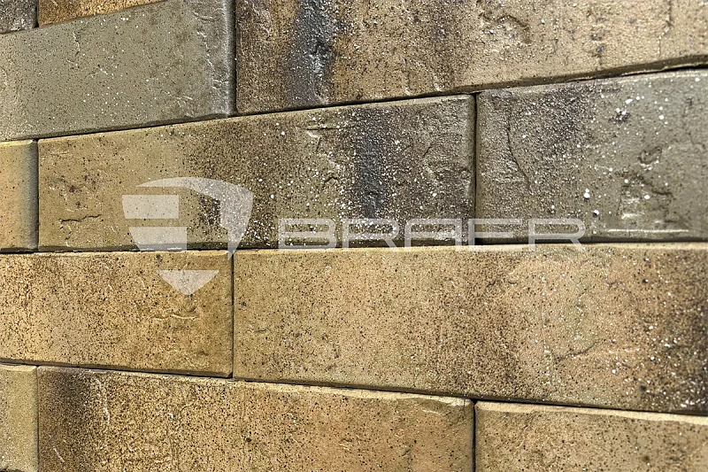 Кирпич облицовочный BRAER PRO 3.03 одинарный 1 NF
